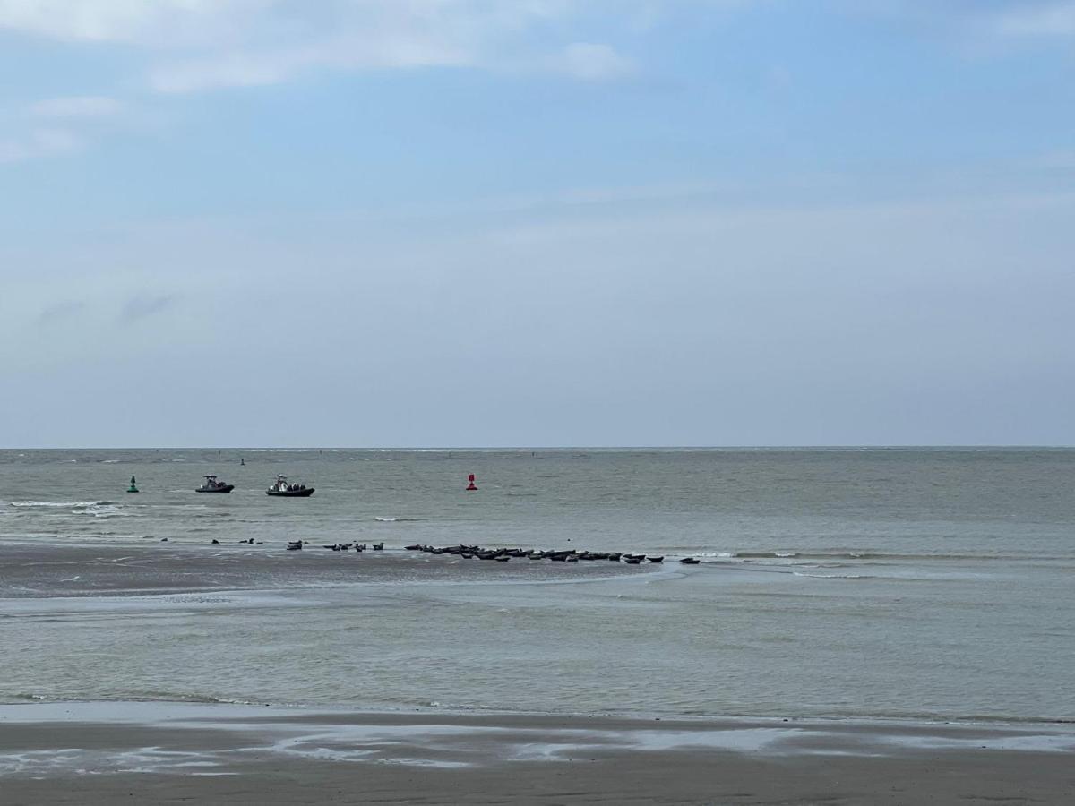 Plage A 50M Appartement Reves Bleus Villa Les Bains De Mers ภายนอก รูปภาพ