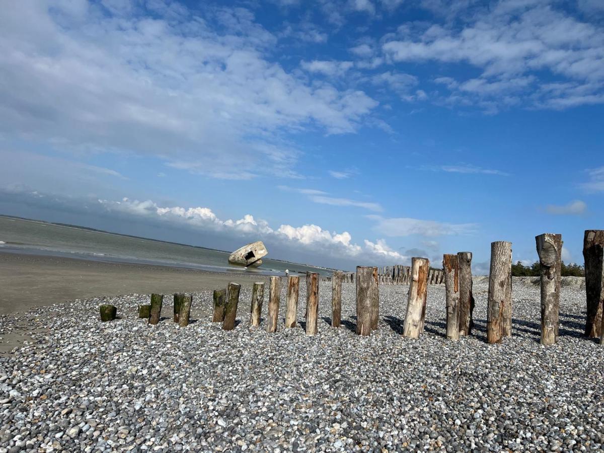 Plage A 50M Appartement Reves Bleus Villa Les Bains De Mers ภายนอก รูปภาพ